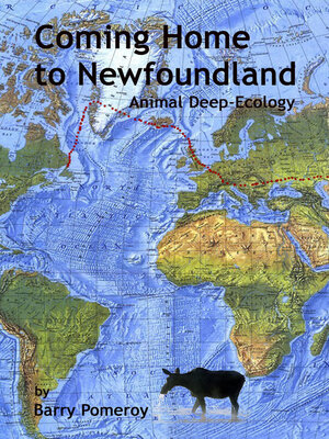 cover image of Coming Home to Newfoundland